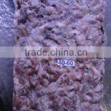 Frozen Octopus thumbnail-1