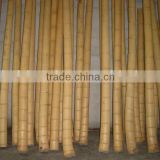 Bamboo pole Sun-018