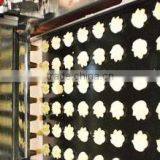 Automatic Machine About Biscuit and Cookies Making Machine Processing Line thumbnail-4