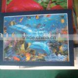 Lenticular 3d Picture With Deep Look 3d Effect