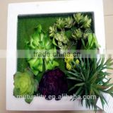 2016 new Artificial succulent with photo frame for home decoration