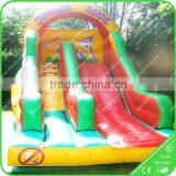 Inflatable Water Slide,inflatable Water Park Slides for Sale