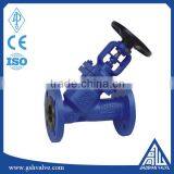 Pn16 Cast Steel Y Type Bellows Globe Valve