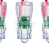 Single Color Waterproof LED Pixel Light Advertising Light Christmas Light