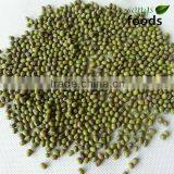 All Variety Beans With Green Color thumbnail-1