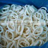 IQF Squid Ring/ Frozen Ring thumbnail-2