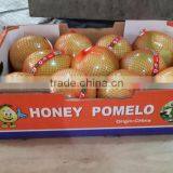 Pomelo New Crop thumbnail-3