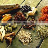 Golden Madras Curry Powder thumbnail-2