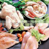 Frozen Fresh Halal Chicken Meat Boneless Skinless thumbnail-4