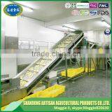 Frozen Garlic Puree thumbnail-4