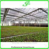 Hot Sale Tropical Greenhouse thumbnail-5