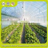 High Quality Hydroponic Greenhouse Wholesale thumbnail-2