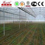 PE Pipe Material and Drain Pipe,Drip Irrigation thumbnail-6