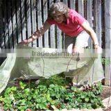 Garden Plant Frost Protection thumbnail-1