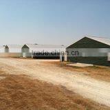 BT Factory Chicken Farming for Broiler Chicken thumbnail-4