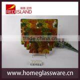 Hot Sale Rectangular Tempered Glass Plate With Fruit Pattern thumbnail-1