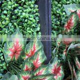 Grogerous Durable Cheap Artificial Green Plants Wall for Decoration thumbnail-3