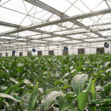 Greenhouse Hanging Exhaust Fan