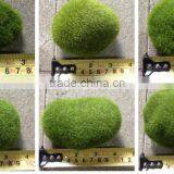 Mini Artificial Moss Stone , Different Size Plastic Moss Stone thumbnail-2