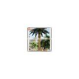 Best Selling Products Large Outdoor Artificial Palm Trees Tropical Plants Life Size Artificial Trees thumbnail-6