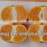 New Harvested Yongchun Fresh Mandarin Orange thumbnail-2