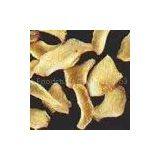 Lilium Pumilum P.E. thumbnail-1