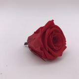 High Quality Timeless Preserved Flower to Make Gorgeous Flower Gifts thumbnail-4