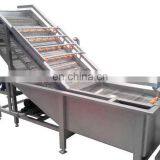 Fresh Fruits and Vegetables Bubble Washing Machine thumbnail-6