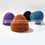 Eco-friendly winter knitted beanies hat, custom logo beanie hat