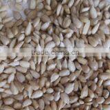 Organic Sunflower Kernel thumbnail-1
