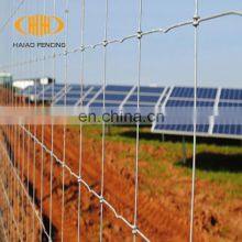 Made in China Galfan Hot Dip Galvanized Carbon Steel Tidy Neat With no Sharp Sheep Wire Mesh Fence