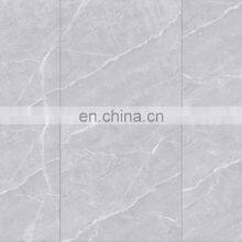 Персональные антискользящие серые керамические плитки для санузлов больниц JBR6109H thumbnail-4