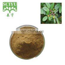 Treating Annual Fissure Plant Extract Cascara Sagrada Bark Extract / Buckthorn Bark Extract thumbnail-1