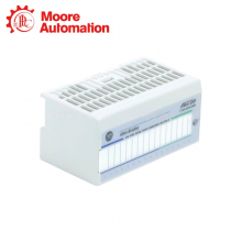 Allen Bradley1794-IB10XOB6 thumbnail-2