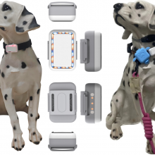 G618G - Cat.M or Cat.1 Pets Tracker (BLE+GPS+Wifi+LBS Location