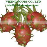 WHITE DRAGON FRUIT _ GOOD QUALITY _ GOOD PRICE thumbnail-4