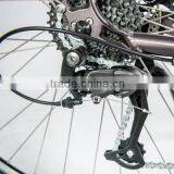 Cheap Electric Bike for Sale thumbnail-6