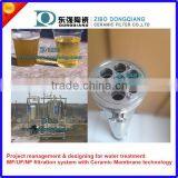 Ceramic Membrane Module With ss Housing for Micro Filtration System