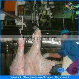 Beef Processing Facility Cow Slaughter thumbnail-4