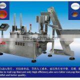 Aluminum Foil Cap Lining Machine