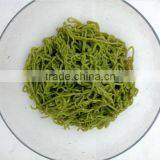 Gluten Free Konjac Noodles Spaghetti With Spinach