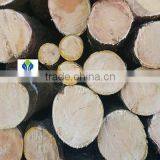 RUBBER Wood TIMBER