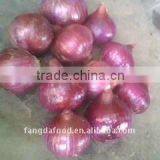 New Red Onions on Promotion Now thumbnail-1