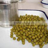 Fresh Canned Green Peas for Sale thumbnail-1