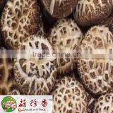 Export Flower Shiitake Mushroom Dried From Fresh Raw Material thumbnail-3