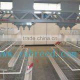 Automatic Chicken Feeder