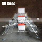 Chicken Cage Poultry Farm thumbnail-6
