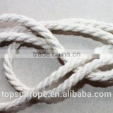 nylon rope halters