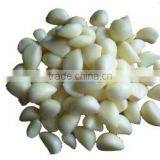 Large Machine Cutter Chengdu Mashed Garlic Ginger Garlic Machine of High Quality Stainless Steel Blade Free Use of a Machine thumbnail-2