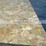 1220*2440MM 8MM Oriented Strand Board/OSB Board thumbnail-3